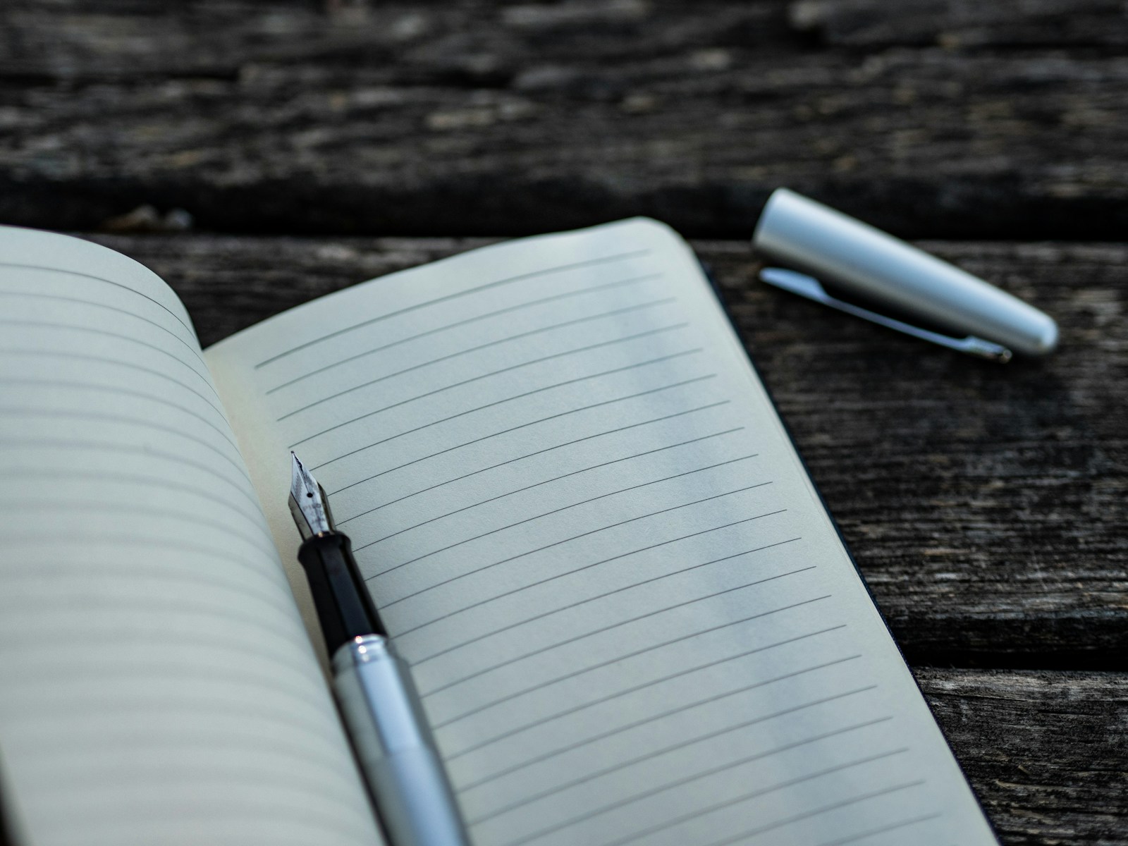 gray and black fountain pen and hurricane checklist book